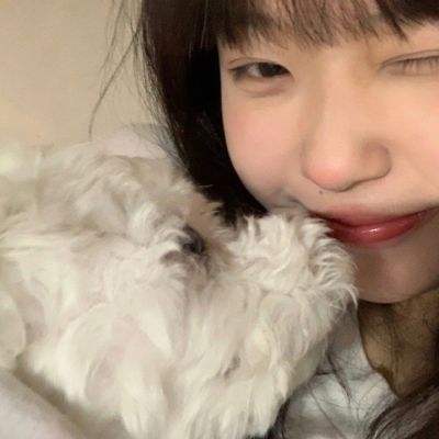 我在三国当ceo手机版(暂未上线)v4.29 安卓版